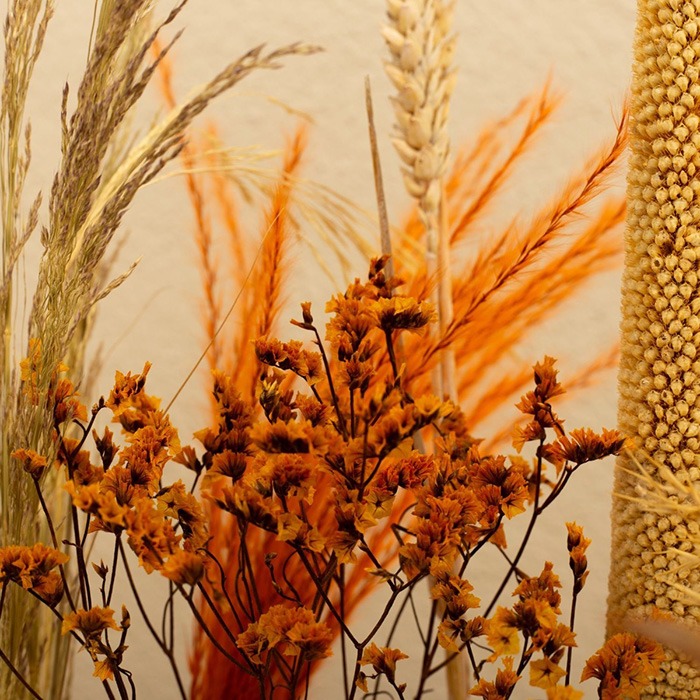 Fiori secchi