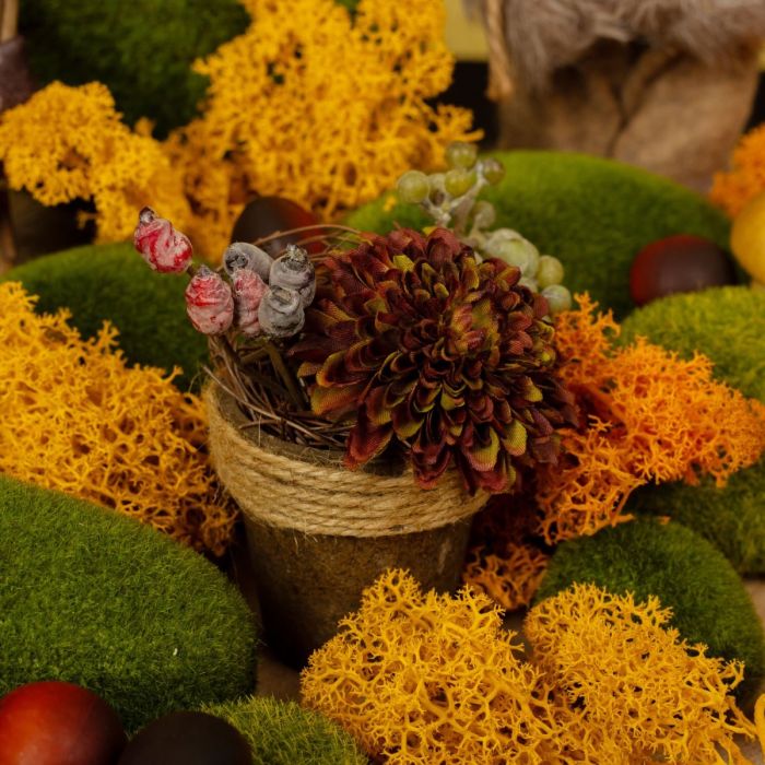 Composizioni autunnali