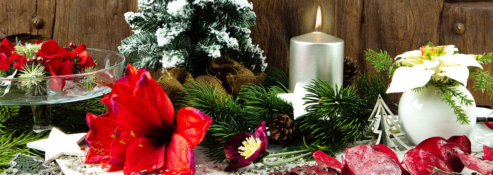Decorazione di Natale
