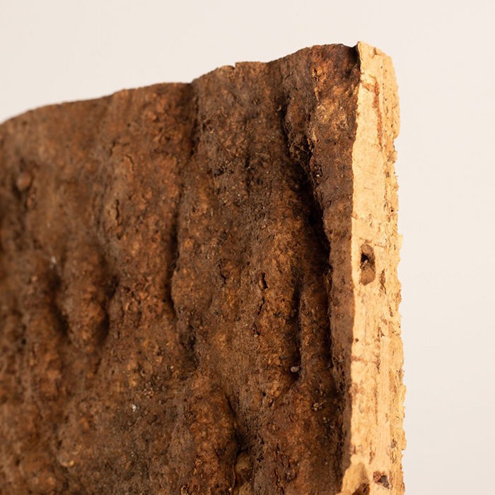 Lavagne di sughero / pannelli di sughero