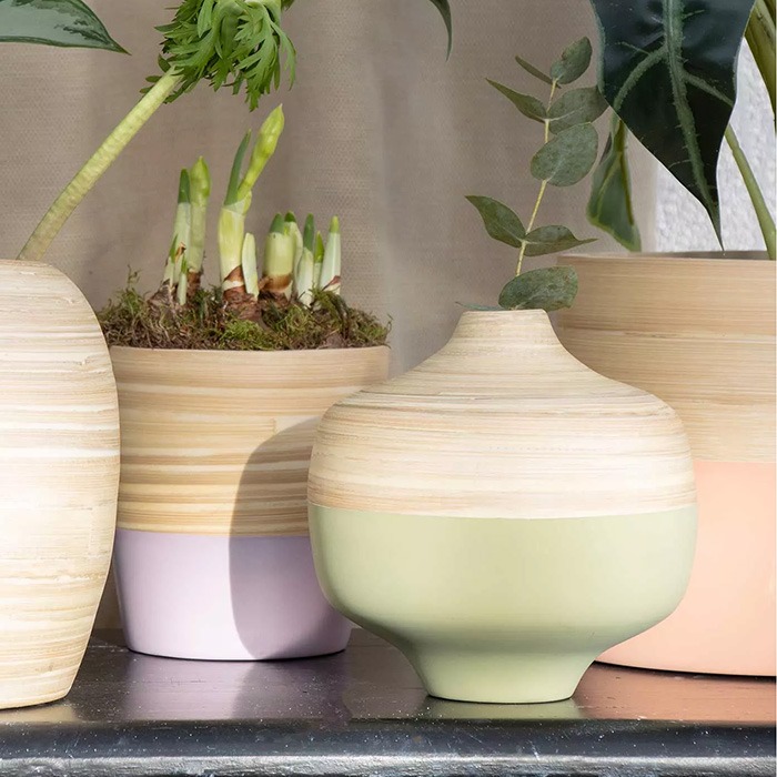 Forme di vasi da piante