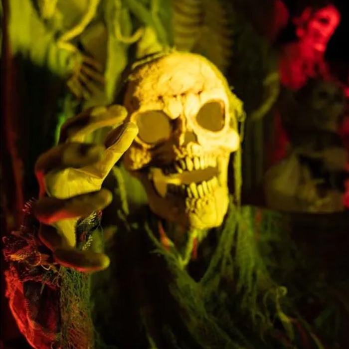 Figure Halloween