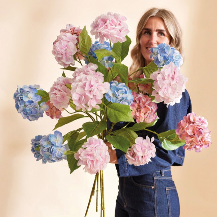 Ortensie in offerta