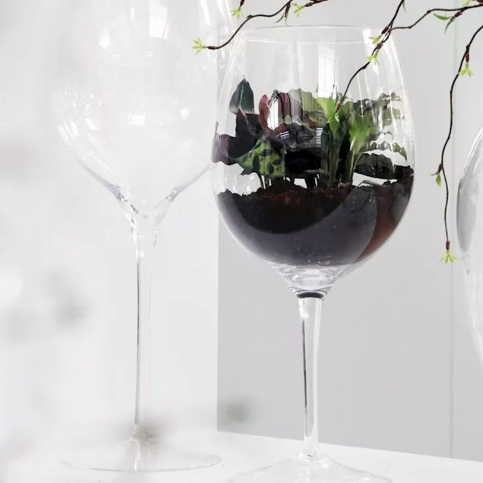 Bicchieri decorativi