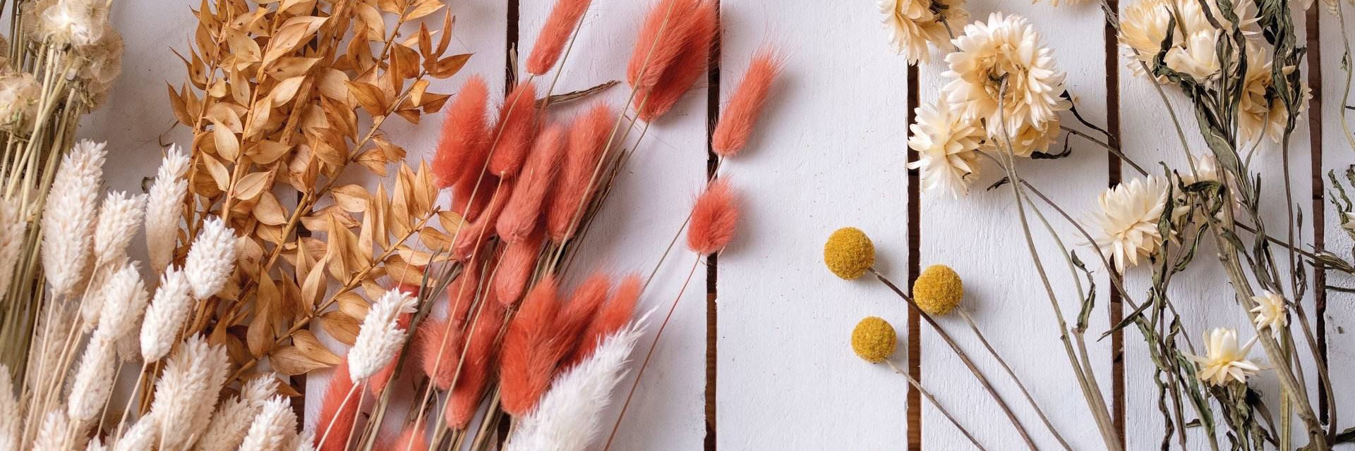 Fiori secchi