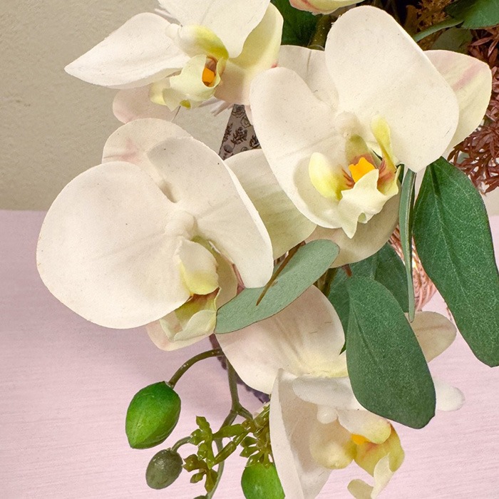 Teste di fiori e petali