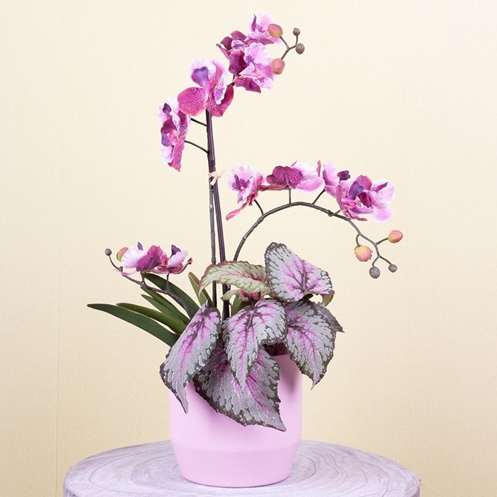 Fiori