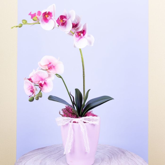 Decorazioni con orchidee