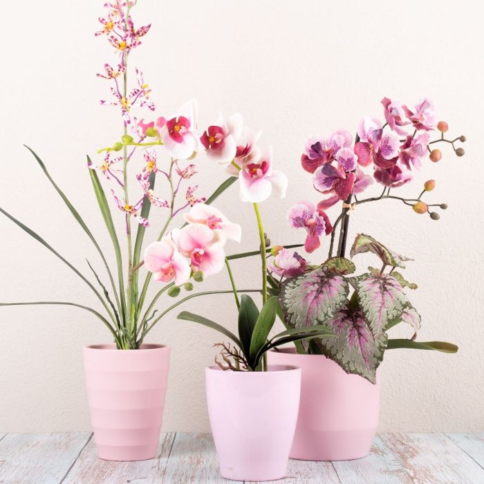 Dillo con i fiori parte 1-3