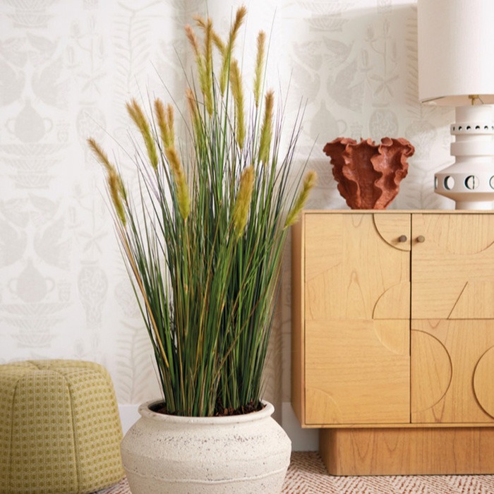 Graminacee artificiali