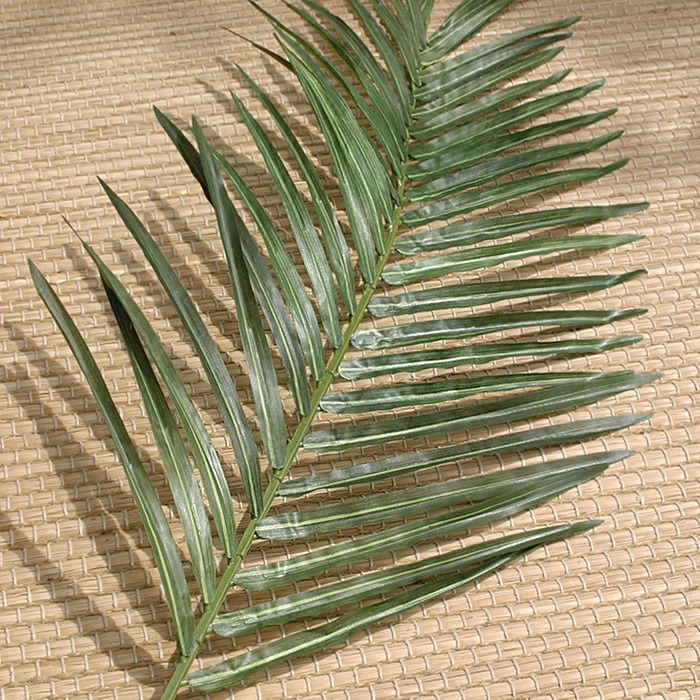 Foglie di palme