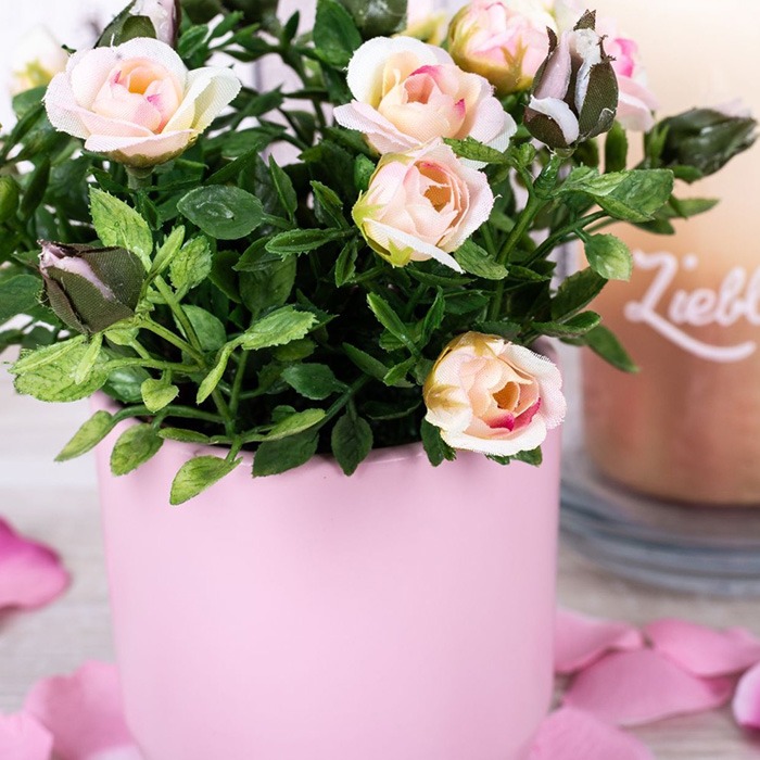 Rose con vaso
