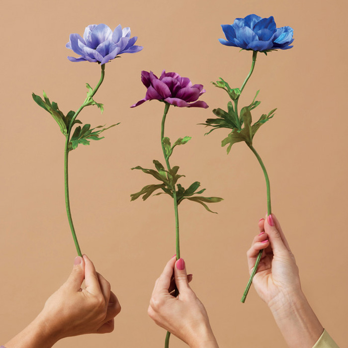 OFFERTE / Fiori economici