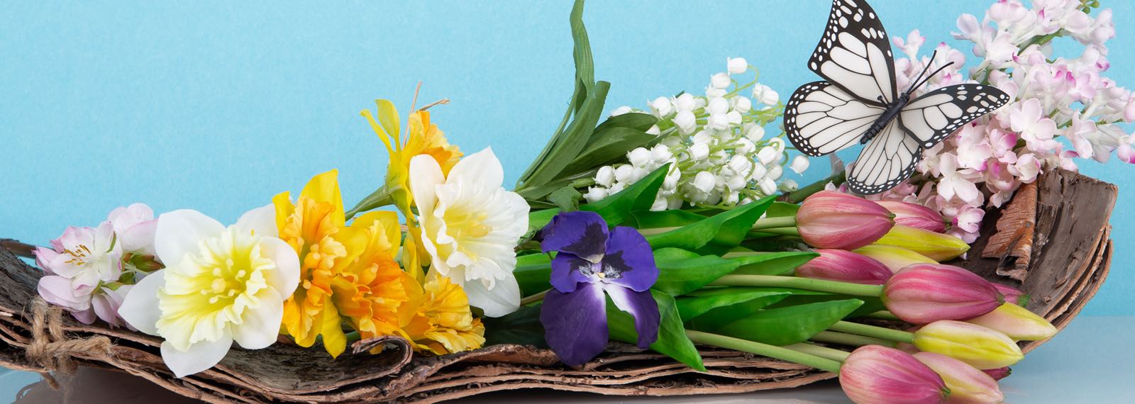 tutti i fiori di primavera