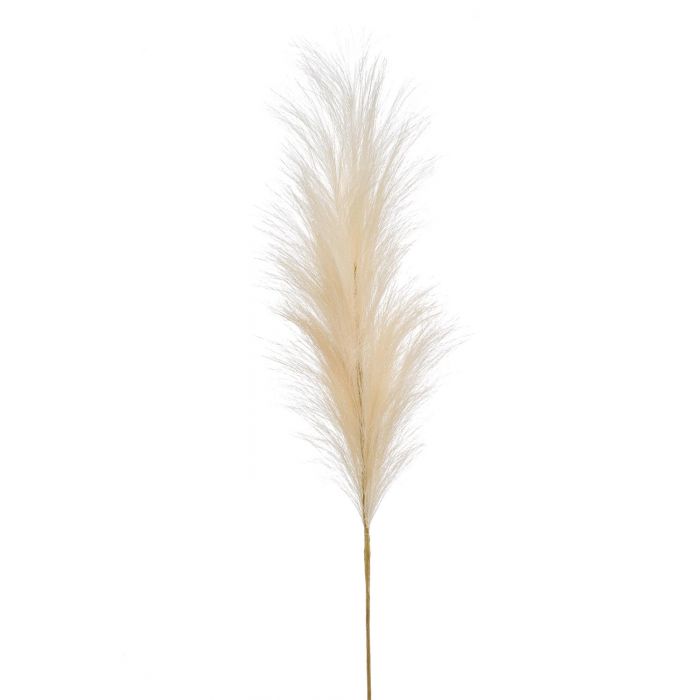Rami di Pampas